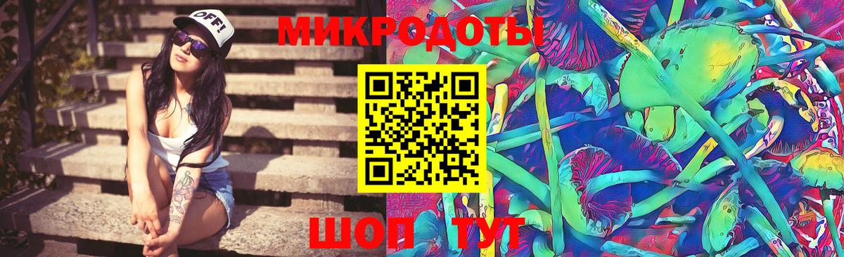 Галлюциногенные грибы Psilocybine cubensis  Вход с VPN  Галлюциногенные грибы прущие грибы  Гудермес 
